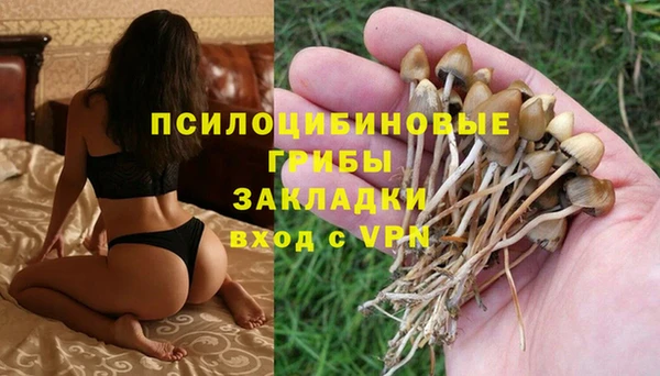 альфа пвп Лиски